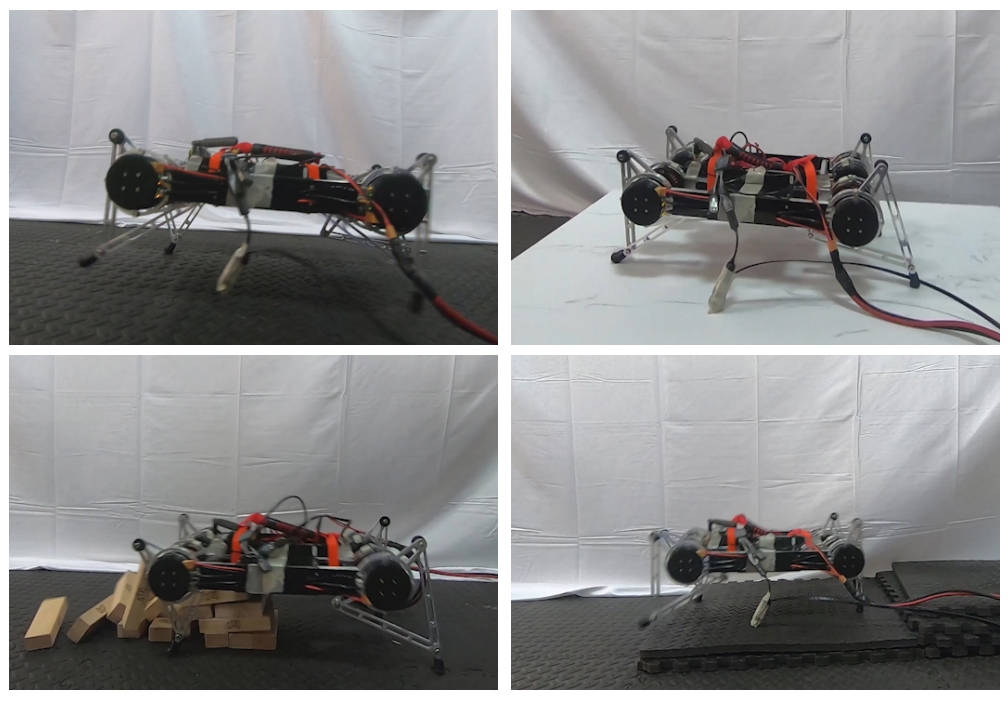Stability and robustness of Minotaur robot trained with this algorithm